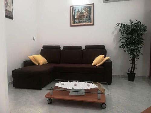 Apartments Branka