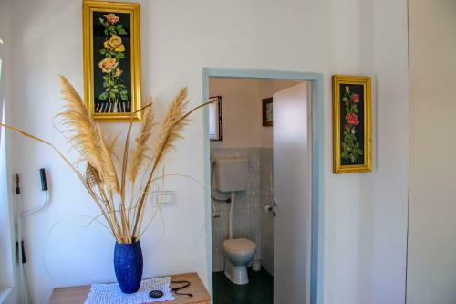 Apartments Branka