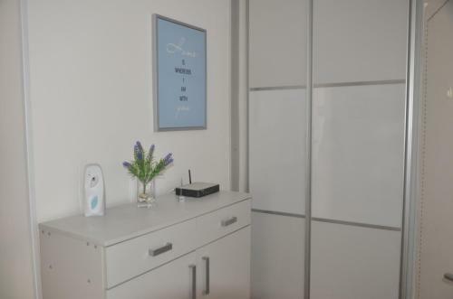 Apartment Babic