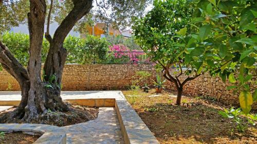 Apartment Razanj 14712a