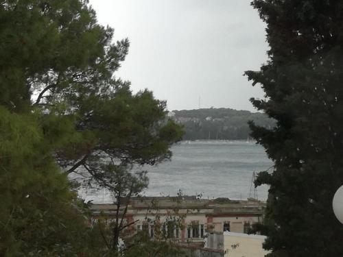 Apartment Angelini 863