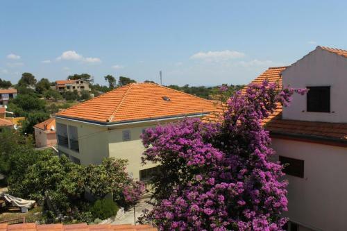 Apartments With A Parking Space Sali (dugi Otok) - 872