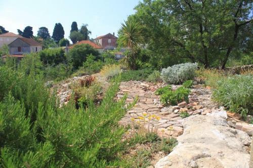 Apartment Sali 8084b