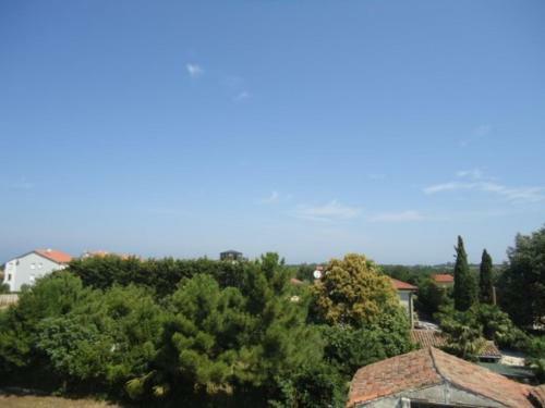 Apartments Ana