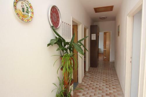Apartment Jakominic A.