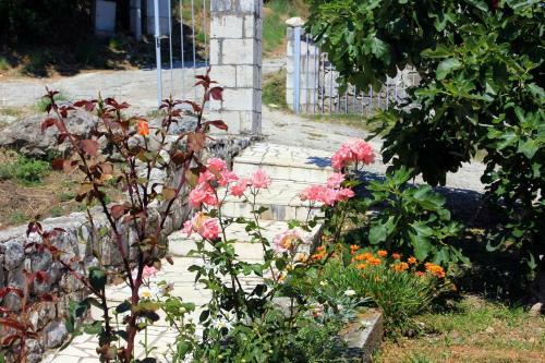 Hostal Double Room Sladjenovici 2161f