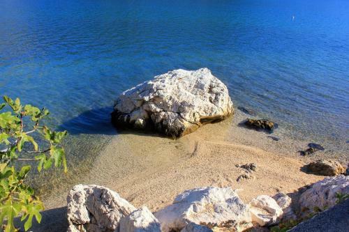 Apartment Slano 8608a