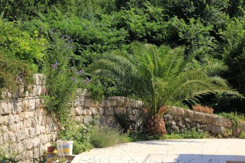 Apartment Slano 3184a