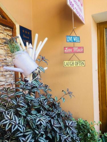 Hostal Guesthouse Coco