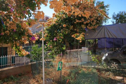 Seaside Holiday House Brna (korcula) - 9235