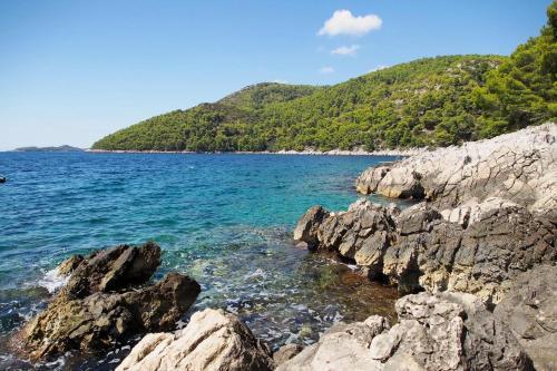 Seaside Holiday House Brna (korcula) - 9235
