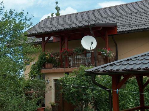 Apartments Ana