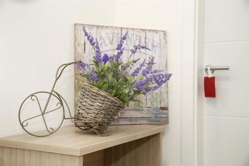 Apartment Andelina