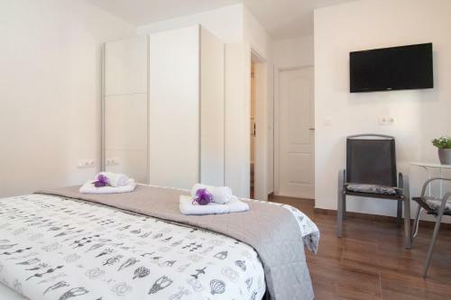 Hostal Guest House Vagabundo Imb