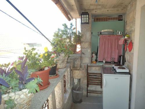Hostal The Palm