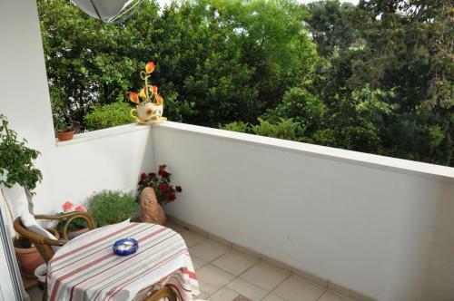 Apartment Kuny Bacvice