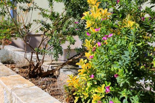 Apartamentos Studio Split 11623a