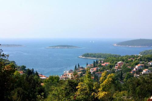 Seaside Holiday House Maslinica (solta) - 14017