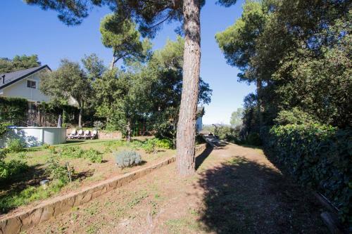 Villa Maite
