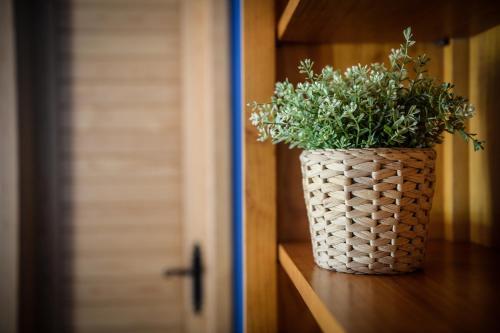 Apartamento Casa Celeste