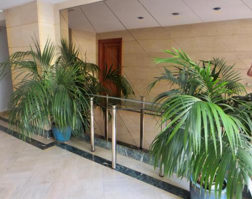 Apartamento Bah�a Mar