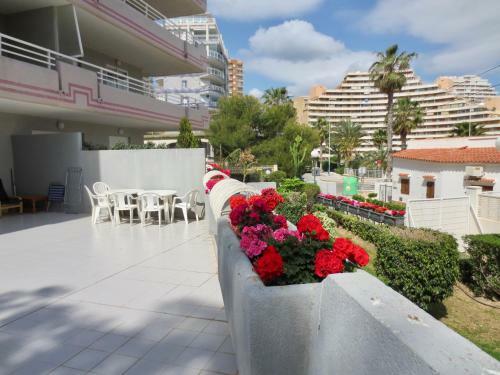 Apartamento Bah�a Mar