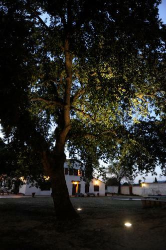 Agroturismo Allotjaments Rurals Vallplana