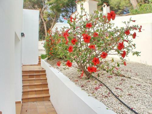 Villa Pacifico