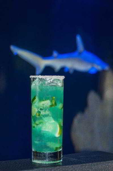The Seagate Hotel And Spa