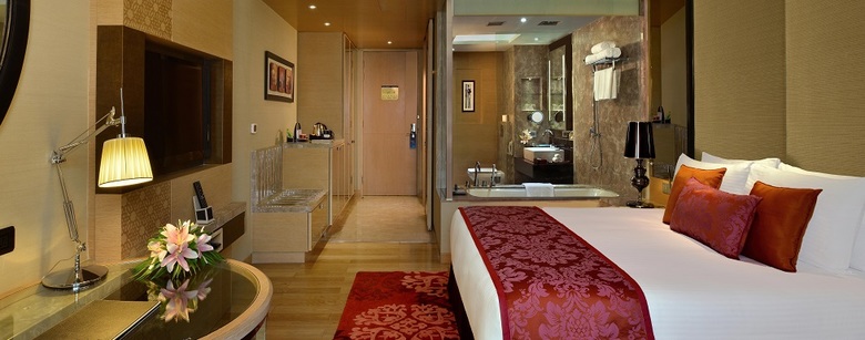 Radisson Blu Hotel Jaipur Airport