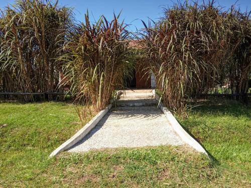 Albergue Cazartes-puma