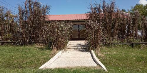 Albergue Cazartes-puma