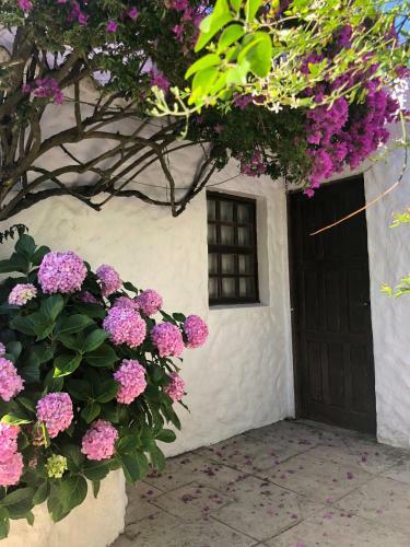 Villa Alda