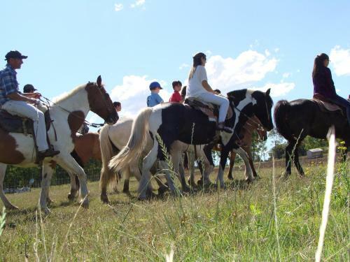 Hotel Estancia Renacimiento