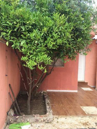 Apartamento Studio Chic Soliman Plage