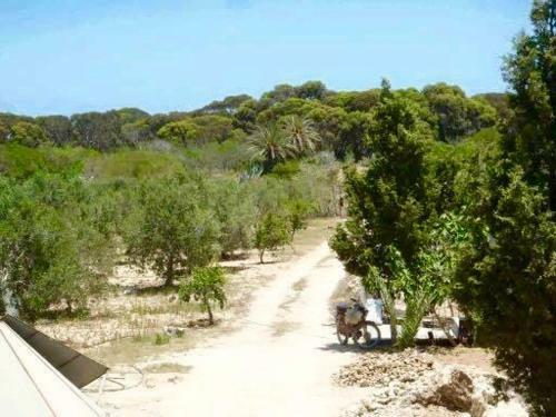 Hostal Dar El Barka