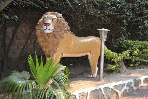 Dian Fossey Nyiramacibir Hotel