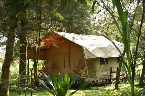 Albergue Red Rocks Rwanda - Campsite & Guesthouse
