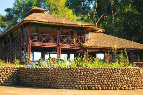 Davinci Gorilla Lodge