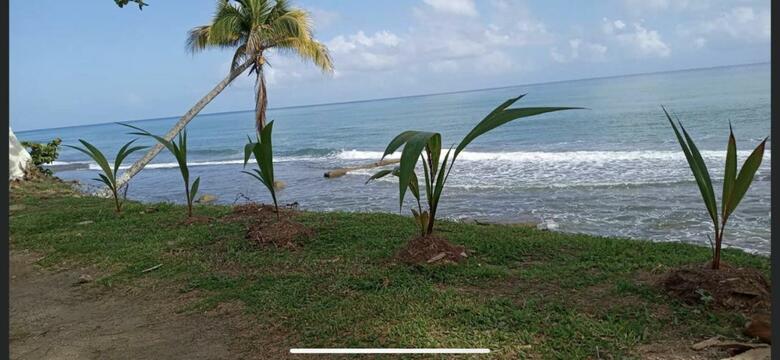 Casa Peace Haven Beach House