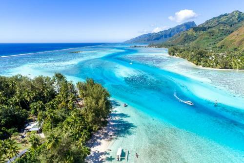 Robinson's Cove Villas - Deluxe Wallis Villa