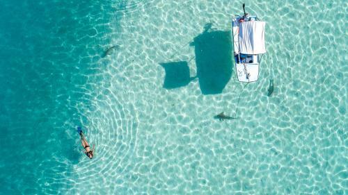 Robinson's Cove Villas - Deluxe Wallis Villa