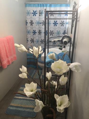 Apartamento Paraiso So�ado