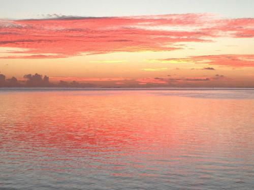 Hotel Moorea Beach Lodge