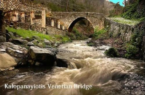?imagine Renting This Luxury Villa? Troodos Mountains Home 119