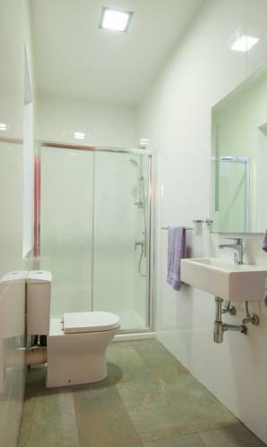 Luxury Apartment