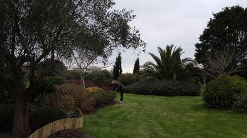 Bed & Breakfast Villa Kern�han