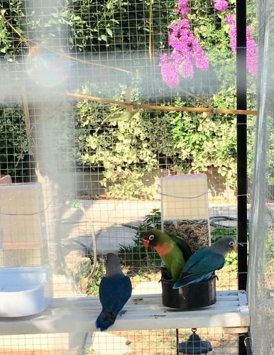 Bed & Breakfast L'intemporelle