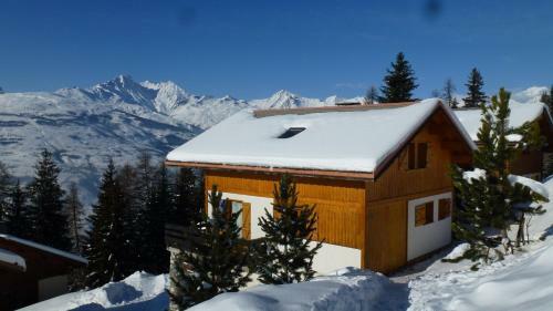 Chalet Forsysthia - Alpes-horizon