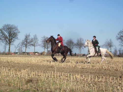 B&B 't Verloren Schaap
